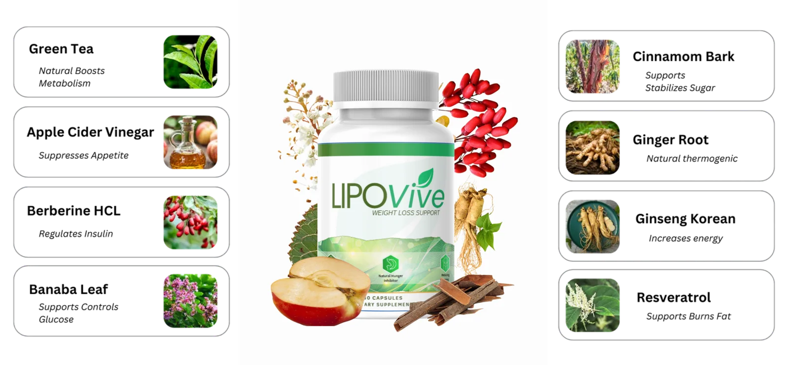 Order LipoVive 